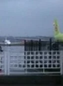 Найден один из «черных ящиков» разбившегося в Ростове-на-Дону Boeing