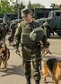 Украинские полицаи не нашли взрывчатку на Куликовом поле в Одессе