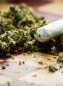 В Германии легализовали употребление марихуаны в медицинских целях