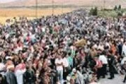 Турция принимает всех беженцев