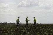 МИД: Россия сомневается в компетентности голландских следователей по делу MH17