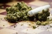 В Германии легализовали употребление марихуаны в медицинских целях